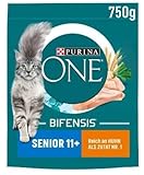 PURINA ONE