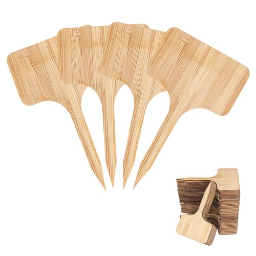 Lot de 40 étiquettes écologiques en bambou en forme de T, design durable pour extérieur