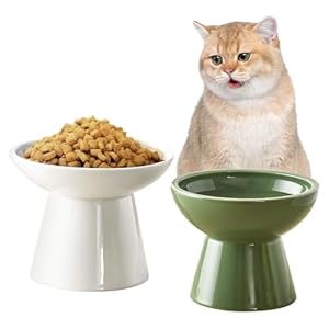 Victob S-1697 Erhöhte Katzennäpfe Keramik 2er-Set