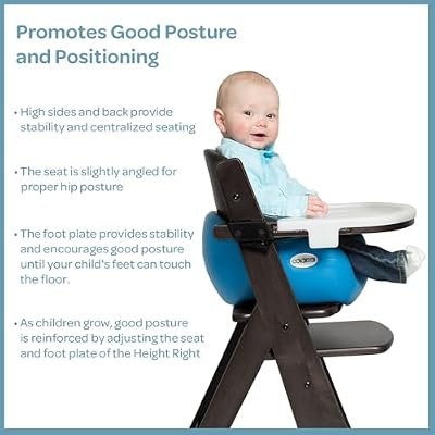 Keekaroo Height RightTM High Chair with Infant Insert & Tray, Espresso/Aqua (0051424KR-0001)