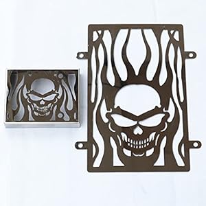 Stainless Steel Skull Radiator Grille Cover &Amp; Rectifier Grill Guard Cover Blade For Kawasaki Vulcan Vn900 2006-2016 Chrome 1 41xbclubaps. sl500 . ss300