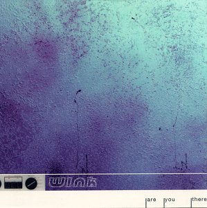 Are You There / Autumn Dayz [Audio CD] Wink