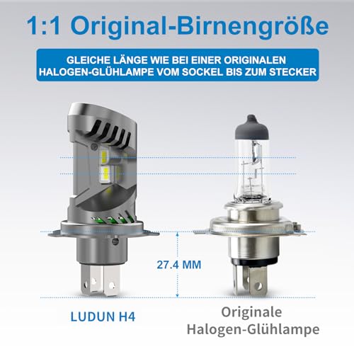 NUROTA H4 Halogen Autolampe – 12V 60/55W, Abblendlicht, H4 Lampen mit Zulassung, H4 Birne für Auto, H4 Scheinwerferlampe, Hohe Qualität für sicheren Fahrkomfort-6500K