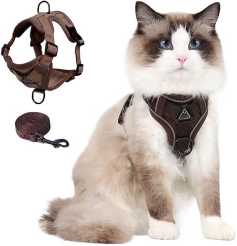 Lpn[lXƃ[VZbgAEh~A߉\ȎqLpxXgAOUpA˃XgbvAÂp(Brown,L)