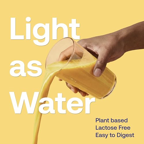 Image of Maiva Pro | Plant Protein Isolate - Alphonso Mango - 250gm | 28g Protein, 6g BCAA | All Essential Amino Acids | Gut Friendly, Easy to Digest | Vegan, Dairy Free, No Preservatives