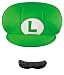 Disguise Nintendo Super Mario Brothers Luigi Child Hat and Mustache, One Size Child