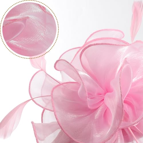 Image of DRESHOW Fascinators Hat Tea Party Headwear Ribbons Feathers on a Headband and a Clip for Women