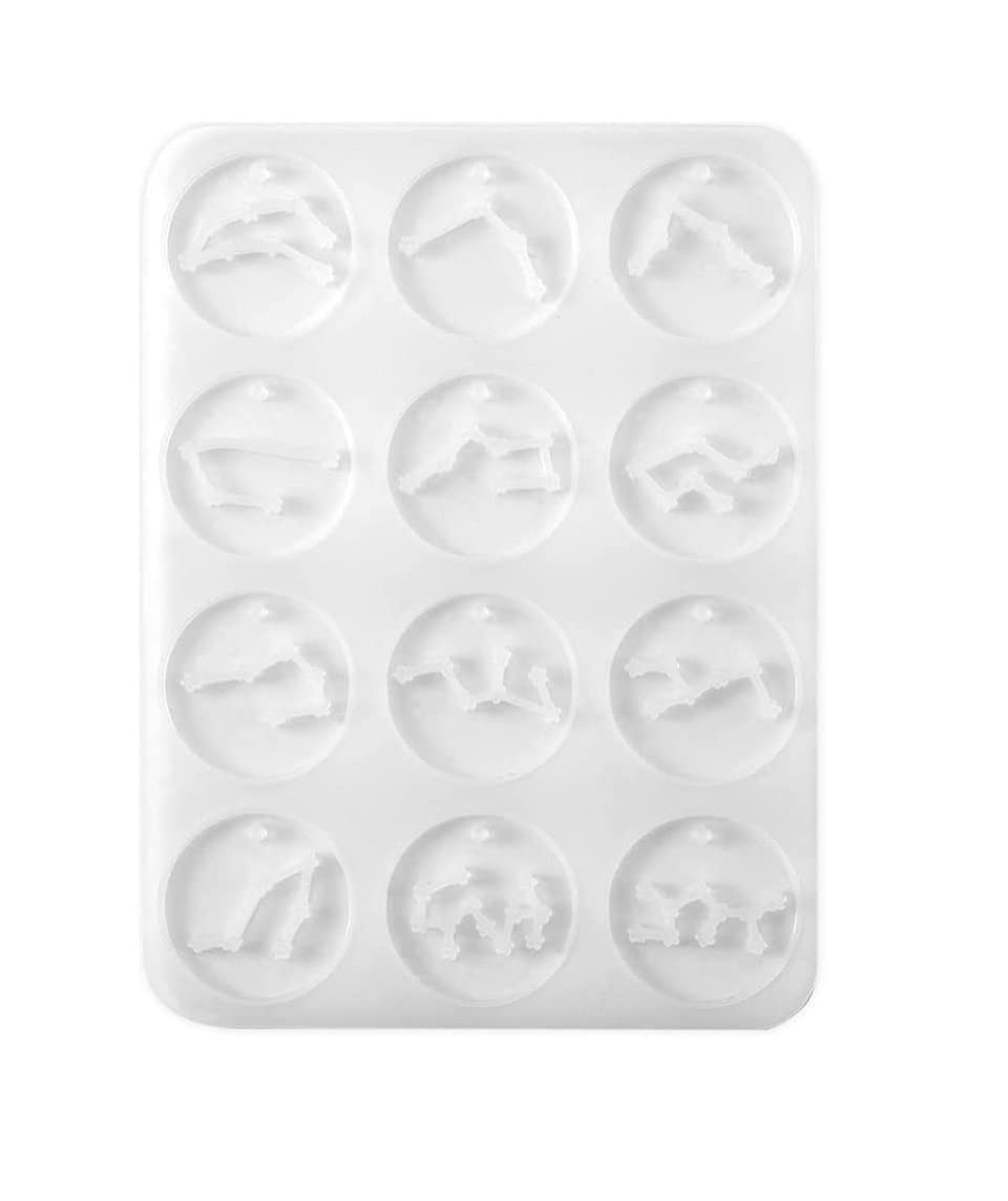 Artool D36 Round Zodiac Molds Pendant Epoxy Resin Silicone Mold Ice Tray Star Zodiac Sign DIY Rectangle Silicone Resin Molds for Keychain Jewellery Making 12 Style