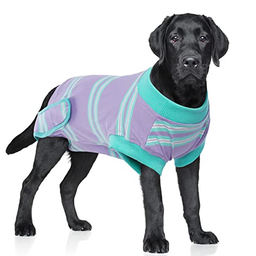 Traje de recuperación para perros, traje de recuperación quirúrgica para perros para mujeres y hombres, chaleco antilamiendo para mascotas post cirugía, alternativas de collares electrónicos de cono Cover