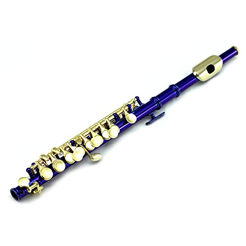 image for Sky Band Approved Piccolo Key of C with Hard Case, Cloth, Cleaning Rod