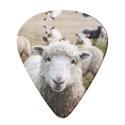 Mignon mouton agneau Lot de 6 médiators pour guitare acoustique, guitare électrique, basse, ukulélé – fin, moyen et… - Les Beatles, Paul McCartney, John Lennon, RIngo Starr, George Harrison Mignon mouton agneau Lot de 6 médiators pour guitare acoustique, guitare électrique, basse, ukulélé – fin, moyen et… – Image 4