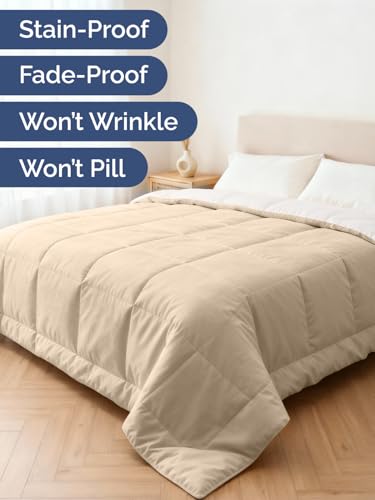 Image of CGK Unlimited Comforter Cream /Antique White Queen
