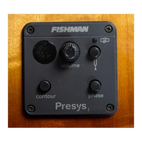 Breedlove PSCN49CEMYMY Geartree Breedlove Pursuit Exotic S Concert Amber Ce Acoustic-Electric Guitar thumb #7