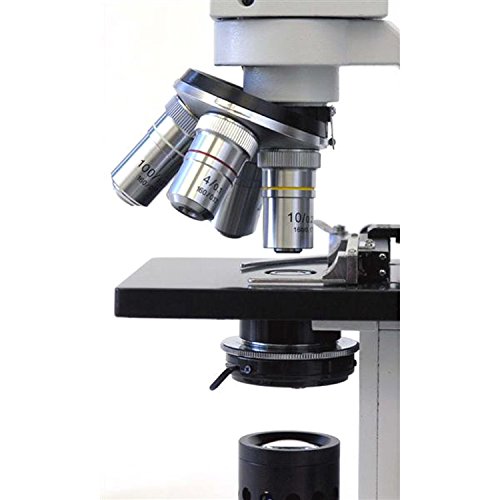 Image of AmScope D120-MS Dual-View Compound Monocular Microscope, 40X-1000X Magnification, Brightfield, 1.25 NA Abbe Condenser, Mechanical Stage