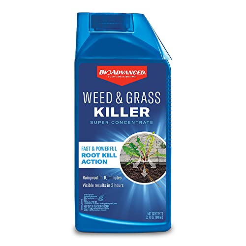 Best Bioadvanced Moss Killer Reviews in 2023