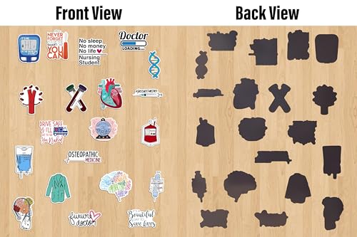 Image of WallDesign Fridge Magnets for Medical Students - Essential Magnet Set for Students, Budding Doctors, Nurses, and Clinics (Set of 20)