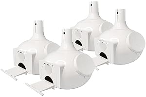 S&K Bo Eleven Plus Purple Martin Gourds: The Ultimate Nesting Solution for Purple Martins