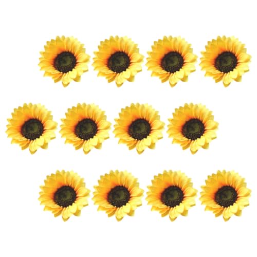 Abaodam 12Zbg lHЂ܂̓ tFCNTt[fR[V [X Z^[s[X 