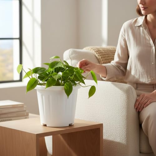 Image of 8 Inch Nursery Pots, 15 Packs Variety Plastic Pots with Drainage Hole, Plant Containers for Seedlings, Succulents, Transplanting (White - Round)