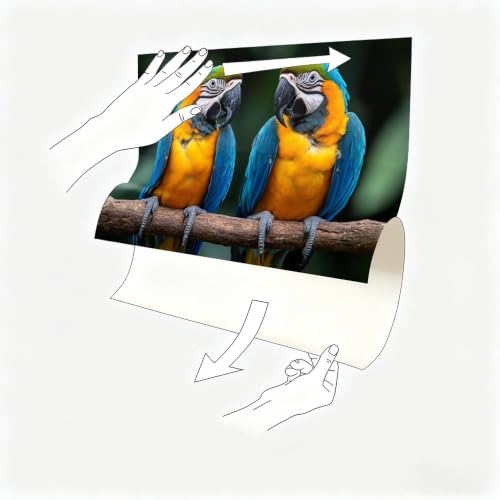 Vinilo decorativo de pared loro de la selva gran formato 6