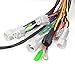 Main Electrical Wiring Wire Harness Compatible with Yamaha Warrior 350 YFM350X 2002 2003 2004 5NF-82590-00-00