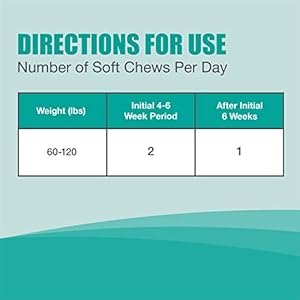 Nutramax Dasuquin Joint Health Supplement for Large Dogs – With Glucosamine, Chondroitin, ASU, Boswellia Serrata Extract, and Green Tea Extract, 84 Soft Chews