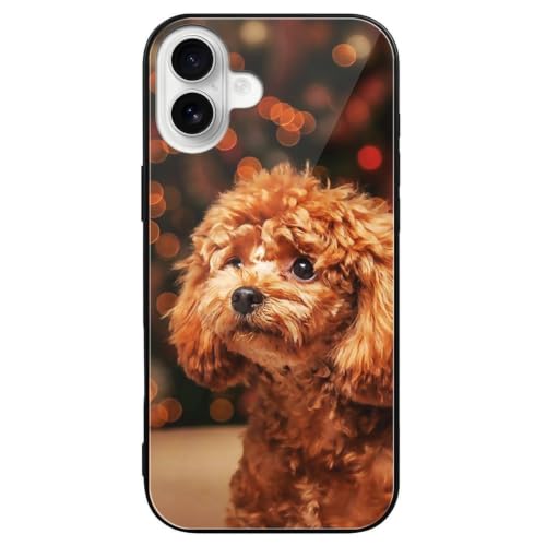 �v�[�h�� ���� �G���G�� iPhone16Plus�p�P�[�X �A�C�t�H��16�v���X�p�P�[�X �����K���X �X�}�z�P�[�X �g�уJ�o�[ TPU �S�ʕی� �w��h�~/����~�߉��ϖh�~ �y�� ���^ �ϏՌ� �l�C [���s�A���i]