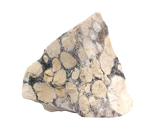 Image of EISCO Raw Conglomerate, Sedimentary Rock Specimen - Hand Sample Approx. 3 inch Geologist Selected & Processed Great for Science Classrooms- Eisco Labs