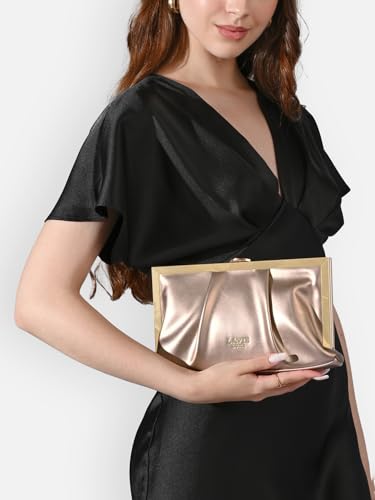 Image of Lavie Luxe Women's Pleatz25 Framed Clutch | Ladies purse | Gift For Women