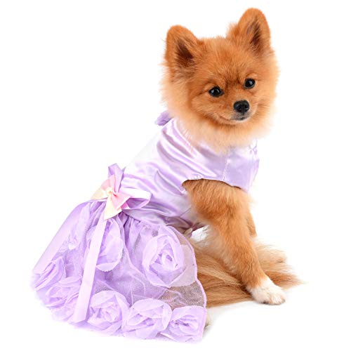 PAIDEFUL Abito per Cani di Piccola Taglia Vestiti