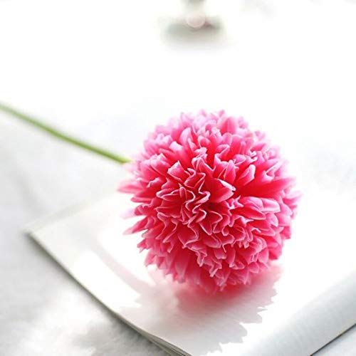 150 pezzi in un vaso Insettivori Clip per semi Dionaea muscipula gigante Venere acchiappamosche per la casa Giardino: 22