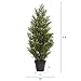Nearly Natural 3ft. Mini Cedar Pine Tree (Indoor/Outdoor)