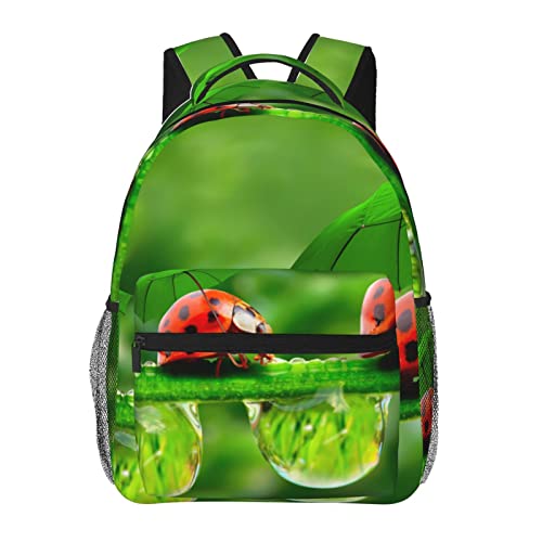 Sac à dos voyage et collège noir avec coccinelle idéal pour l'ordinateur portable