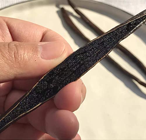 Madagascar Vanilla Beans 5 Count Grade A Gourmet Vanilla Pods 5-7" Great for Baking (Pack of 1) - Image 3