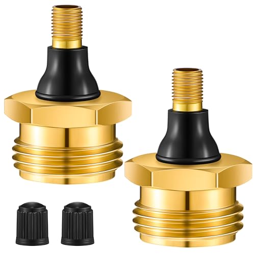 Ceoighe 2 Pack Brass RV Blow Out Plug Heavy Duty Winterization Tool Compatible with Schrader Valve to Blow Out RV Water Lines Winterization Valve for Camper Motorhome Travel Trailer