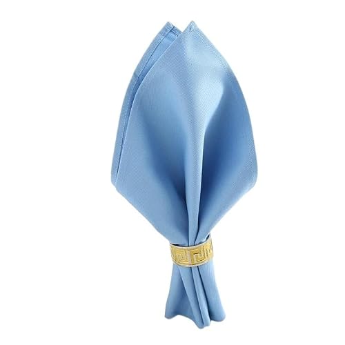 Eamrfvqt Sky Blue Satin Dinner Napkins, Dinner Table Napkins 10 Pcs Multicolor