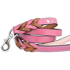 Raspberry-Pink-Leather-Braided-Dog-Leash-6-Foot-x-34-inch-Walking-or-Training-Lead-for-Large-and-Medium-Size-Dogs - Cucciolini Doodles   Raspberry-Pink-Leather-Braided-Dog-Leash-6-Foot-x-34-inch-Walking-or-Training-Lead-for-Large-and-Medium-Size-Dogs