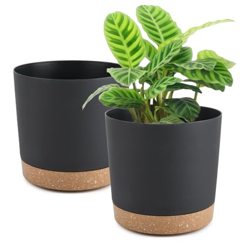 BUYGOO Blumentopf mit Untersetzer, 2er-Set Plastik Blumentopf, Pflanztopf 20 cm Durchmesser, Pflanzentöpfe mit Untersetzer und Abflusslöchern, Rund Blumentöpfe, für Innen Außen Pflanzen - Schwarz BUYGOO Blumentopf mit Untersetzer, 2er-Set Plastik Blumentopf, Pflanztopf 20 cm Durchmesser, Pflanzentöpfe mit Untersetzer und Abflusslöchern, Rund Blumentöpfe, für Innen Außen Pflanzen - Schwarz