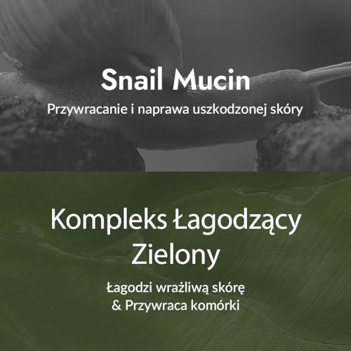 [Mizon] Krem naprawczy do ślimaków, nawilżacz do twarzy z ekstraktem ze śluzu ślimaka, krem naprawczy do ślimaków All in One, koreańska pielęgnacja skóry, pielęgnacja zmarszczek