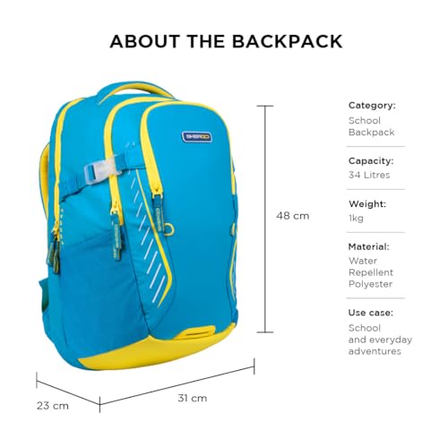 Image of Ergo43 Classic Ergonomic School Bag | Posture & Spine Support, Lumbar Padding, Lightweight | 34L Daily School Backpack
