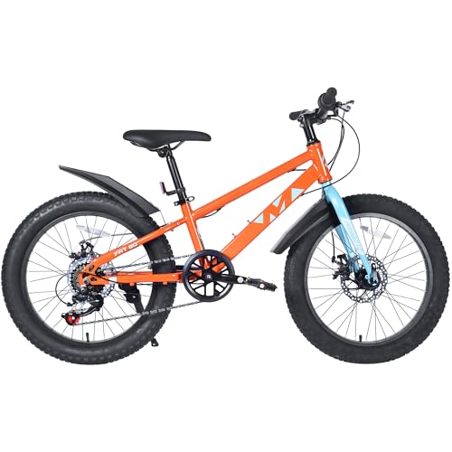WEEROCK 20 Inch Kid Mountain Bike Kids MTB Child MTB Snow Bicycle with 7 Speeds