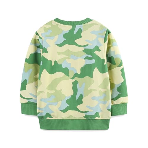 Boys Sweatshirts Casual Sweatshirts Cotton Sweatshirts Long Sleeve T-shirts Crew Neck Cartoon Tops for Boys-2532