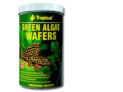 Tropical Comida para Peces Green Algae Wafers Acuario 450 g