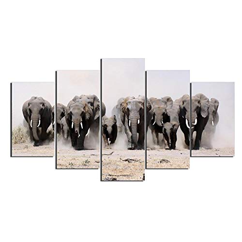 Impression sur toile 5 pièces éléphants pour décorer un salon moderne