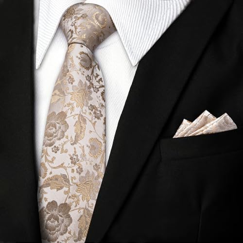 Image of DiBanGu Silk Floral Ties for Men Woven Paisley Necktie and Tie Clip Handkerchief Cufflinks Set for Party Wedding