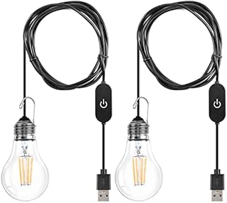 LangPlus+ A60 Dimmable USB LED Bulb Portable Plug in LED Lamp, 2700K Warm White 3W USB Hanging Light Bulbs for Camping BBQ Warehouse Car Truck Fishing Boat Light, 2 Pack