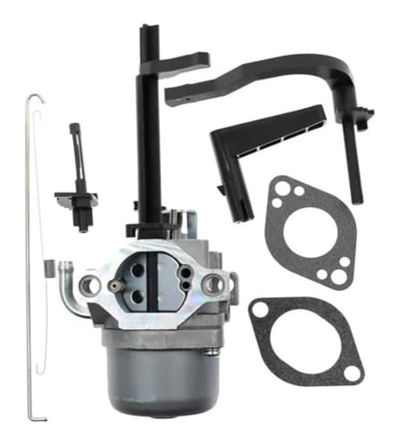 Carburador soplador de nieve Briggs para limpiar caminos y accesos en invierno