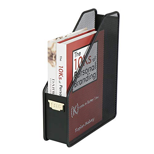 DESIGNA Metal Wire Desktop Mesh Magazine Holder, Office Desk Standing File Organizer Vertical, Black