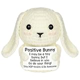 SKIPTHYBER Positive Bunny Geschenke, Emotional Motivierende Inspirierende Geschenke,Handgemachte Häkeltiere mit Positiver Karte für Geburtstag Weihnachten Ostern