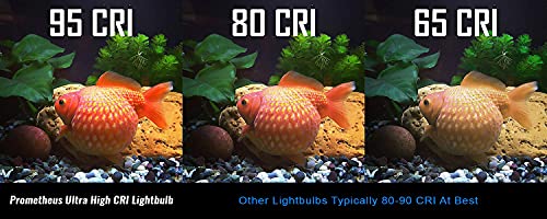 Prometheus Lights Night Time Light Bulb With Low Blue Light For Healthy Sleep Promotion - Set Of 2 #TOP7